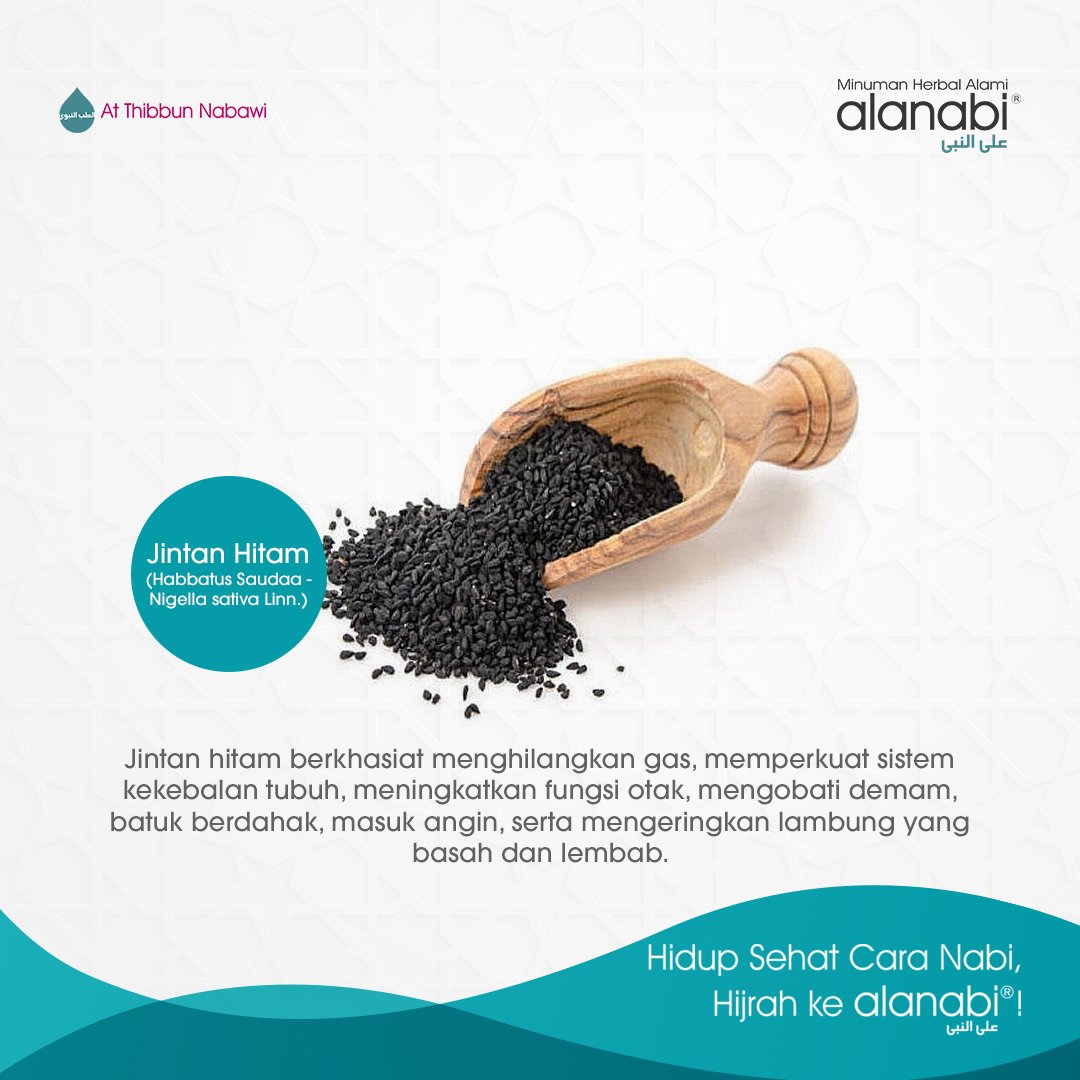 @alanabiID tweet media