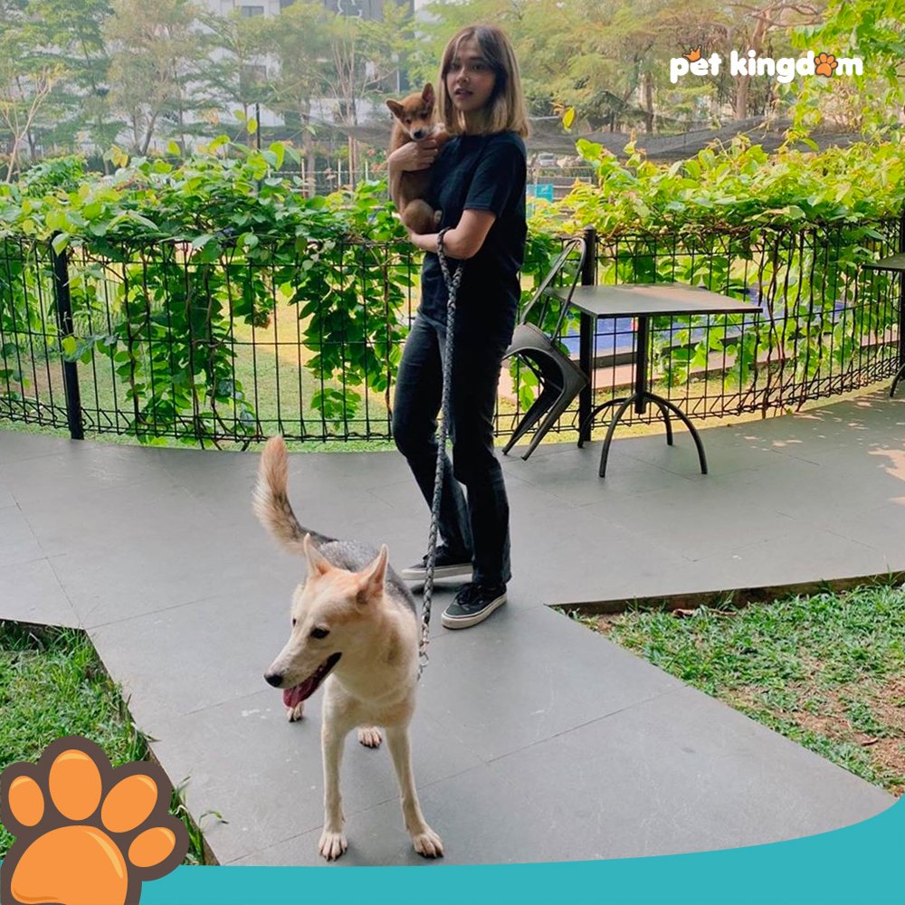 Thank you Kimi and Gonji for playing at Pet Kingdom! See you again soon!

Ayo datang dan bermain di Pet Kingdom, Alam Sutera di hari Minggu yang menyenangkan ini!

Photo credit: <a href="/alyaaputri/">Alya Zayyan Shafa</a>.