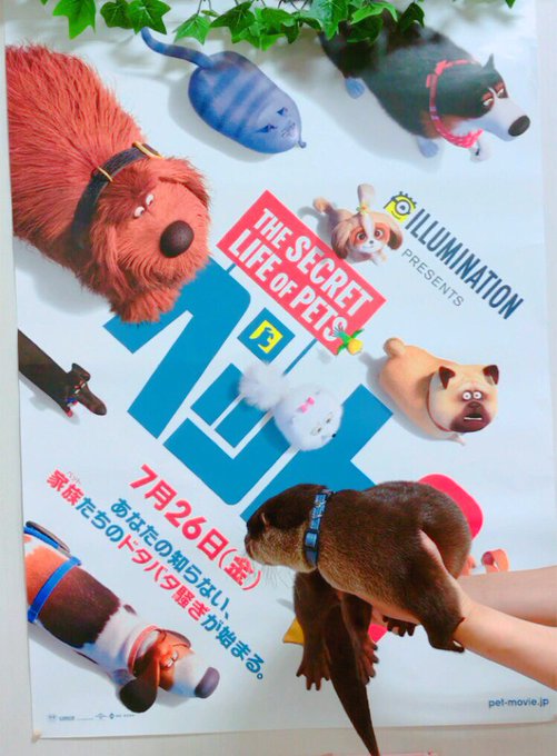 池袋で動物ふれあいのtwitterイラスト検索結果 池袋で動物ふれあいのtwitterイラスト検索結果