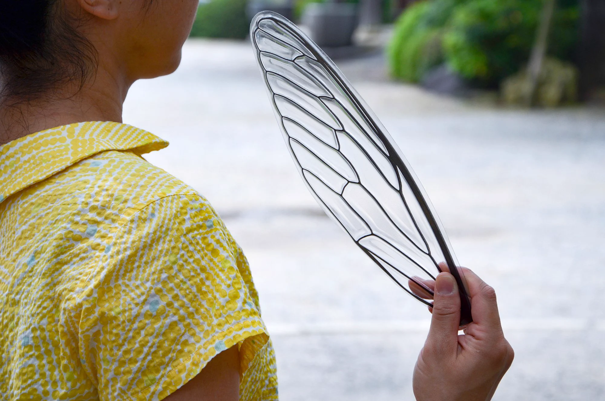 セミの翅の形をしたうちわ！？薄くてきれいに透き通っているのに耐久性もある！
