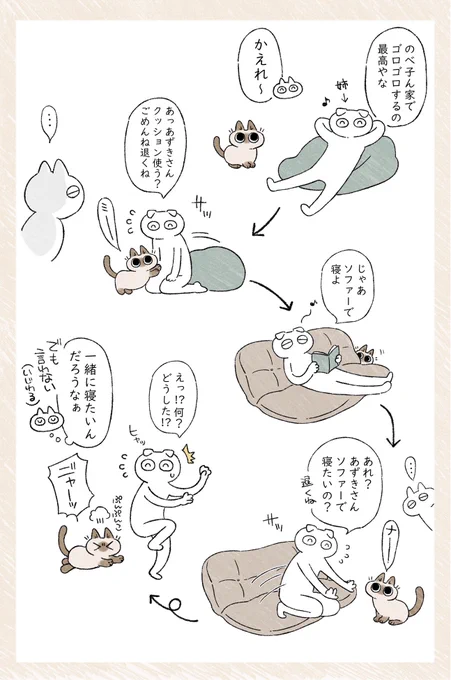 あずきさん心のわからない姉 #ねこ日記 