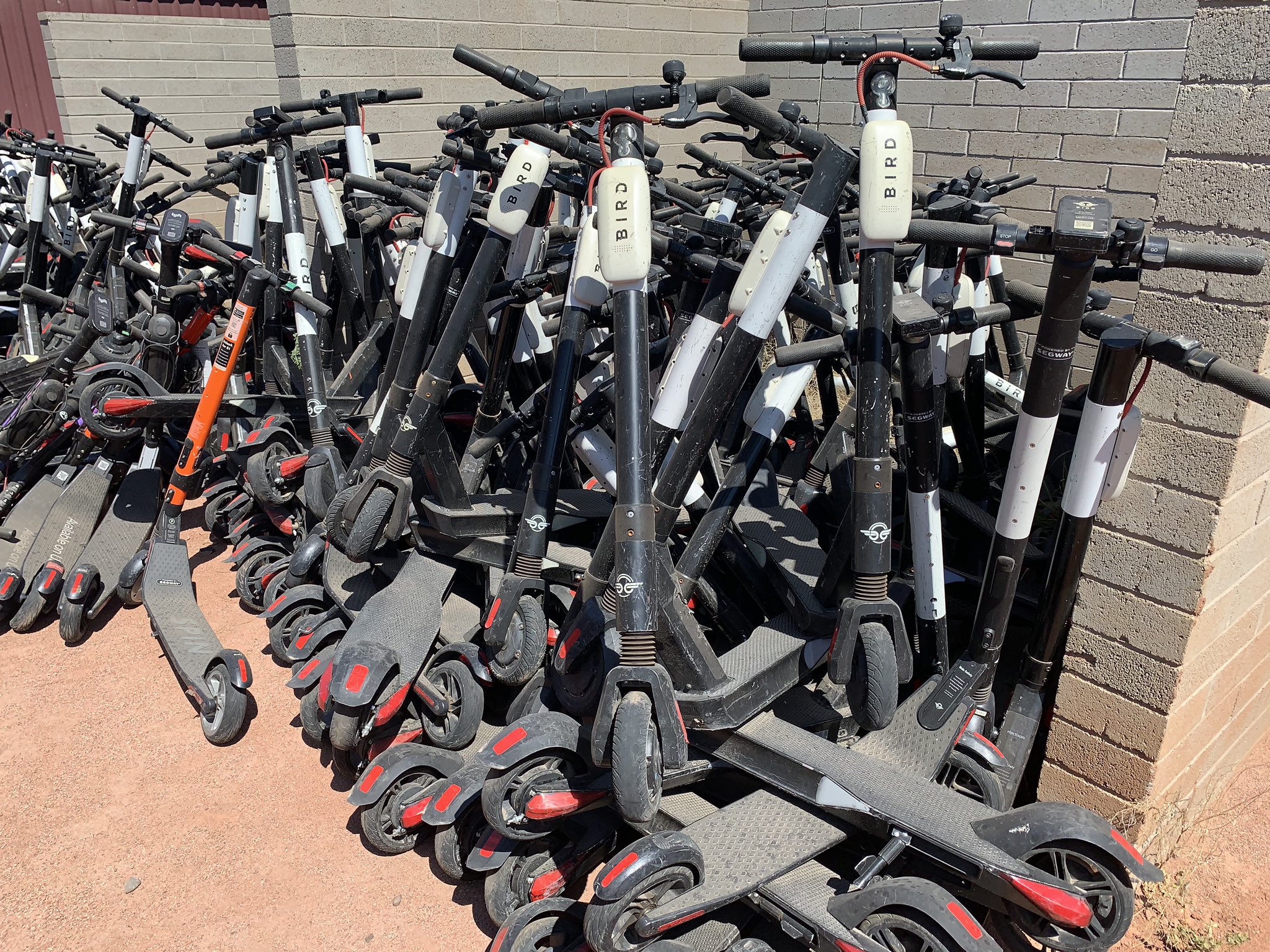 Birdgraveyard deals