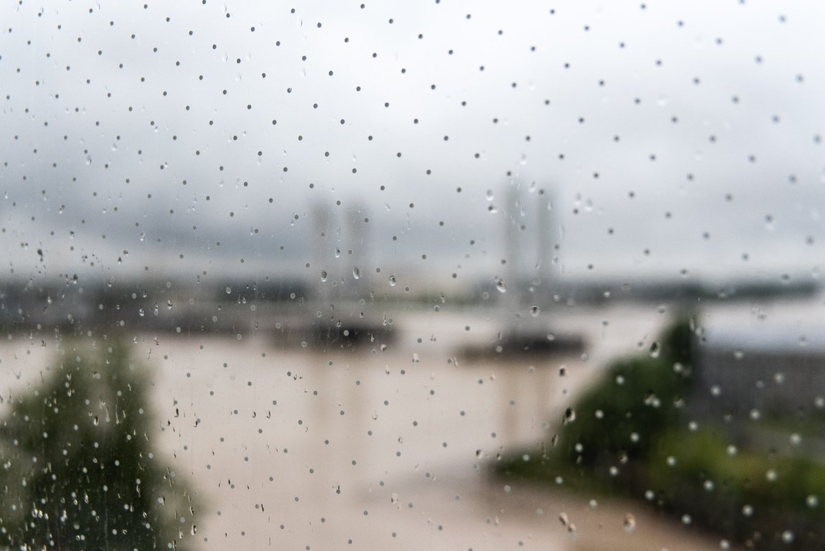 La #pluie est de retour à #bordeaux ! ☂️ Vous cherchez quoi faire comme activité ? Pas de panique, on vous avait concocté un programme spécial d'activités à faire à la Cité du Vin en cas de météo capricieuse au Printemps qu'on vous redonne juste ici  👉 bit.ly/2Oi7YqJ