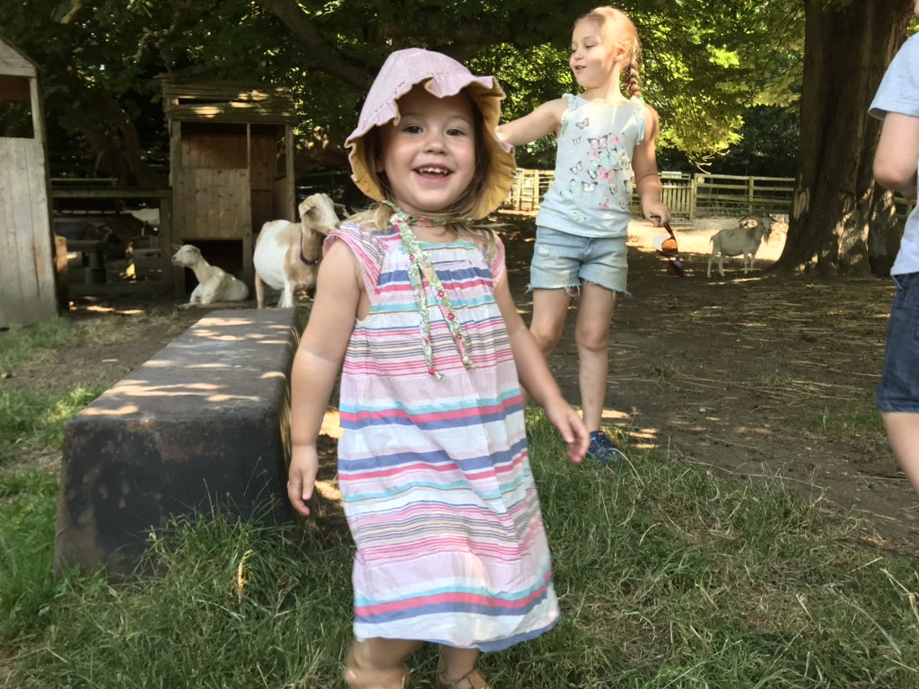 Edspire's tweet photo. Edie is overdue her two year check. I put in a request to have my CONI Health Visitor so I can thank her again and show her timbers amazing little person Edie is growing into! @ButtercupsGoats #ediemae #edieis2 https://t.co/kVXf0uf3gC
