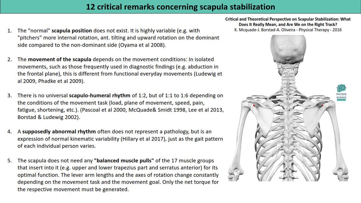 PhysioMeScience's tweet photo. 12 critical remarks concerning scapula stabilization

📌📌📌👇👇👇

more here....

https://t.co/C5bf2N94MB https://t.co/hWVuZh8K5a