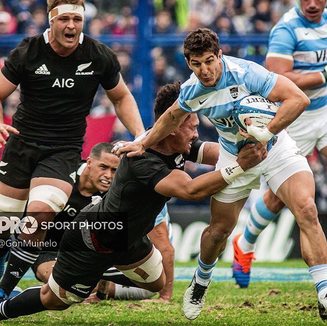 GonMuinelo's tweet photo. Personal Rugby Championship 2019 @lospumasuar vs @allblacks Buenos Aires, Argentina #prosportphotos #rugbychampionship #rugbyphotos #rugbyphotograpers #gonmuinelo #lospumas #allblacks #allblacksrugby @rugbyinflorida @Argentina2027 https://t.co/RKxRDdvz9s https://t.co/TYwoh4Q9lD