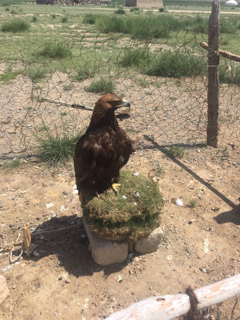 serbindian's tweet image. Getting back into FN when I come back from my vacation