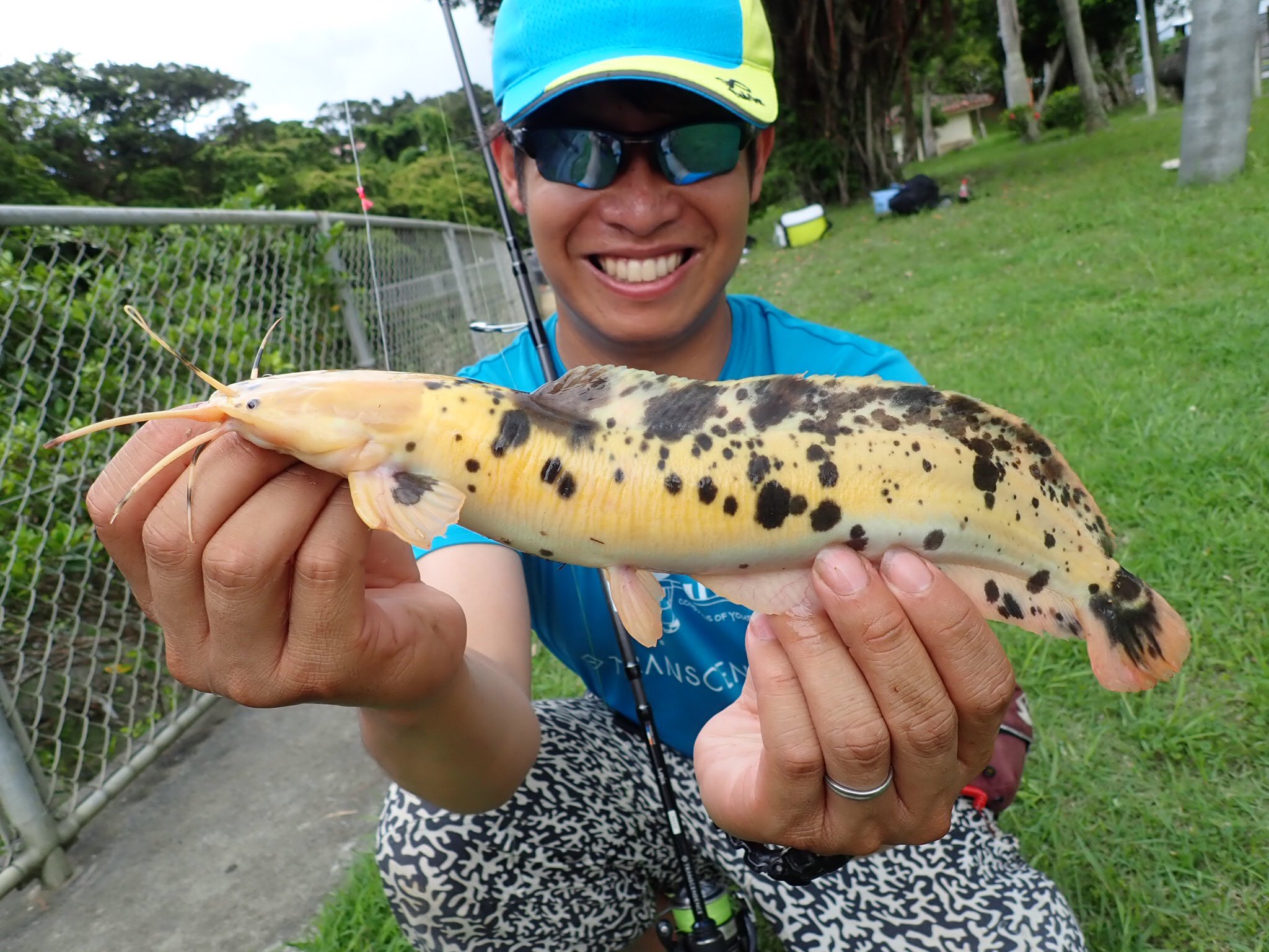 山根ブラザーズ 兄 Kimi バナナの様な模様のナマズが釣れました まるでシュガースポット めっちゃ嬉しい クララ 黄金ナマズ 沖縄