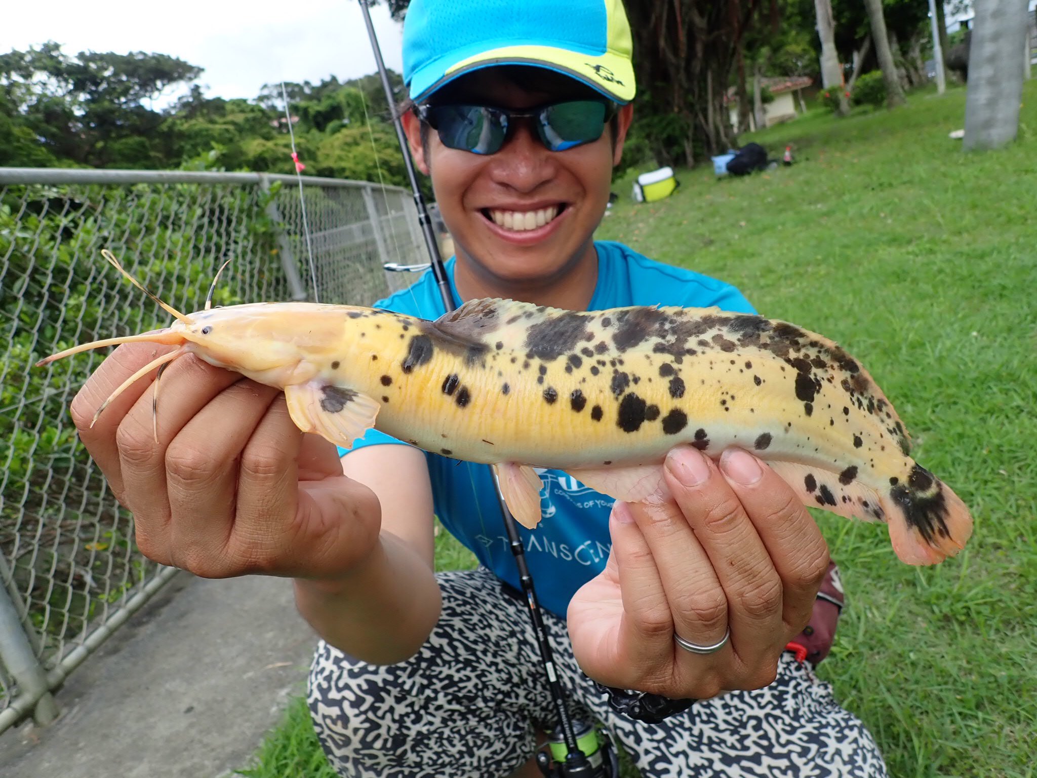 怪魚ハンター山根兄弟 兄 Kimi Fishingcrazyboy 8s43uiomtpgt7qv いわゆるマーブル クララです 観賞目的で固定されたものです Twitter
