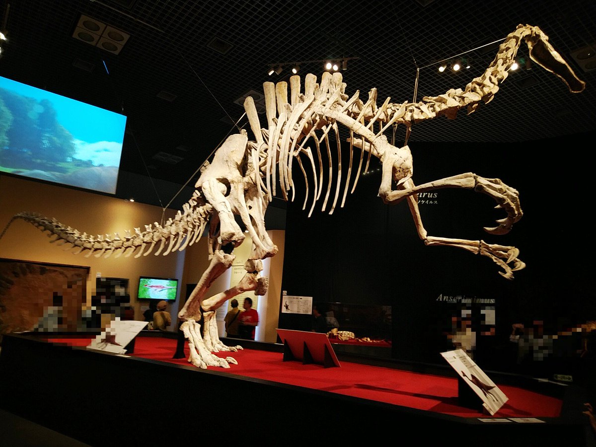 Okina 恐竜博19 に行きました 初公開の化石は思ったより大きく見応えありました ショップでは オキナ の自由帳やノート メモが販売されています 表紙は 恐竜イラスト で著名な 藤井康文 さんの絵です そして限定のガチャガチャで今回の目玉恐竜
