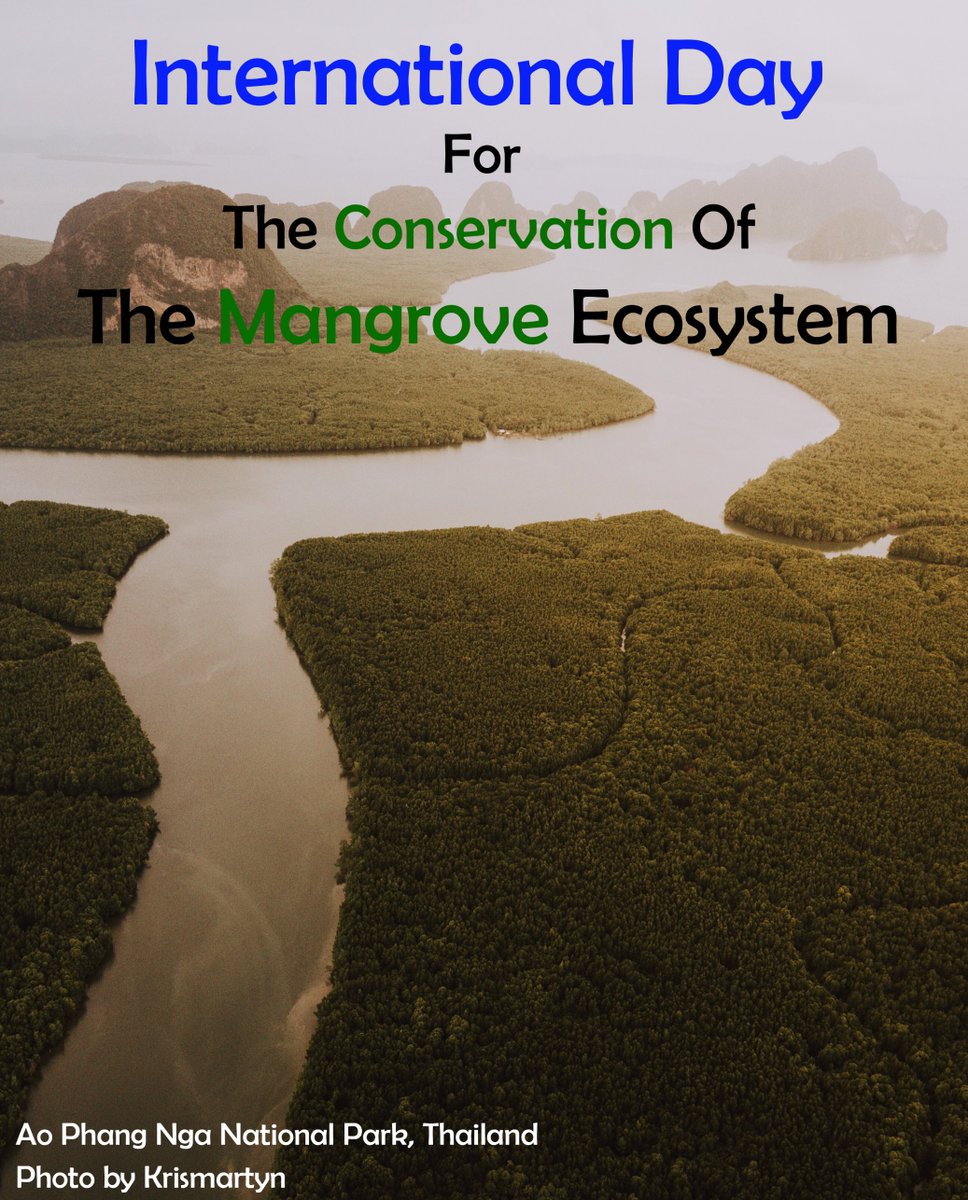groupmmh's tweet photo. 26 July; International Day for the Conservation of the Mangrove Ecosystem
#un #UnitedNations #ecosystems #jungle #River #Thailand #Australia #mmh_media #Mangroves https://t.co/ESiHB2MfAU
