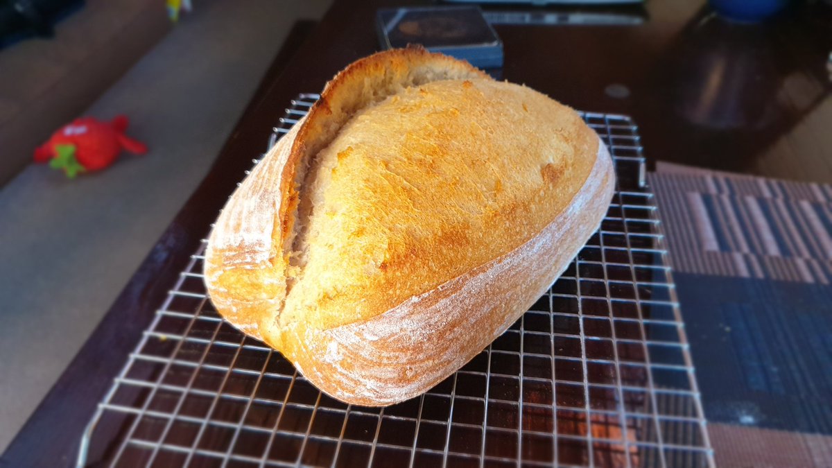 JG_Levin's tweet photo. One mistake led to a lot of learning and going on a rampage through @BakeWithJack weekly tips. And I learned a lot from @BakeWithJack, here's the proof 😉 https://t.co/bXLTIIdEkv