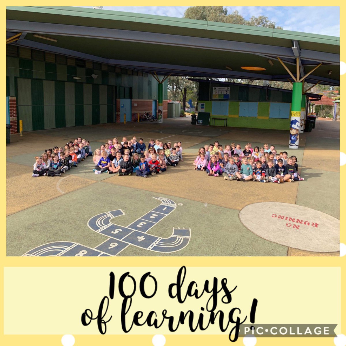 Narellan Vale PS (@narellanvaleps) on Twitter photo Kindergarten celebrated 100 days of learning today! A fantastic time was had by all! A big thank you to parents and carers for all of your support these past 100 days! <a href="/KaitlinLordie/">Kaitlin West</a> <a href="/shellreflecting/">Michelle Sarjana</a> <a href="/lisaporter555/">Lisa Porter</a> <a href="/MairSuellen/">SMair</a> <a href="/BelHoop1/">Belinda Hooper</a> Kindergarten celebrated 100 days of learning today! A fantastic time was had by all! A big thank you to parents and carers for all of your support these past 100 days! <a href="/KaitlinLordie/">Kaitlin West</a> <a href="/shellreflecting/">Michelle Sarjana</a> <a href="/lisaporter555/">Lisa Porter</a> <a href="/MairSuellen/">SMair</a> <a href="/BelHoop1/">Belinda Hooper</a>