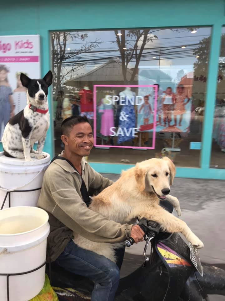 akuluka's tweet photo. Kalo klean ke Canggu dsk, pasti bakalan sering ketemu bapak ini dan anak-anaknya yang lucuk. Iya, itu semua anabulnya pak Ketut Lelut. Kerjaannya ngumpulin sampah organik dari cafe2 sekitar canggu buat kompos &amp; pakan babi. Jadi sekalian kerja, ngajak jalan-jalan anabul. 🖤 https://t.co/c3og7cjhMF