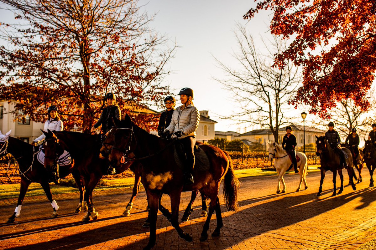 Morning traffic in the Valley of Life.

#LifeWorthLiving