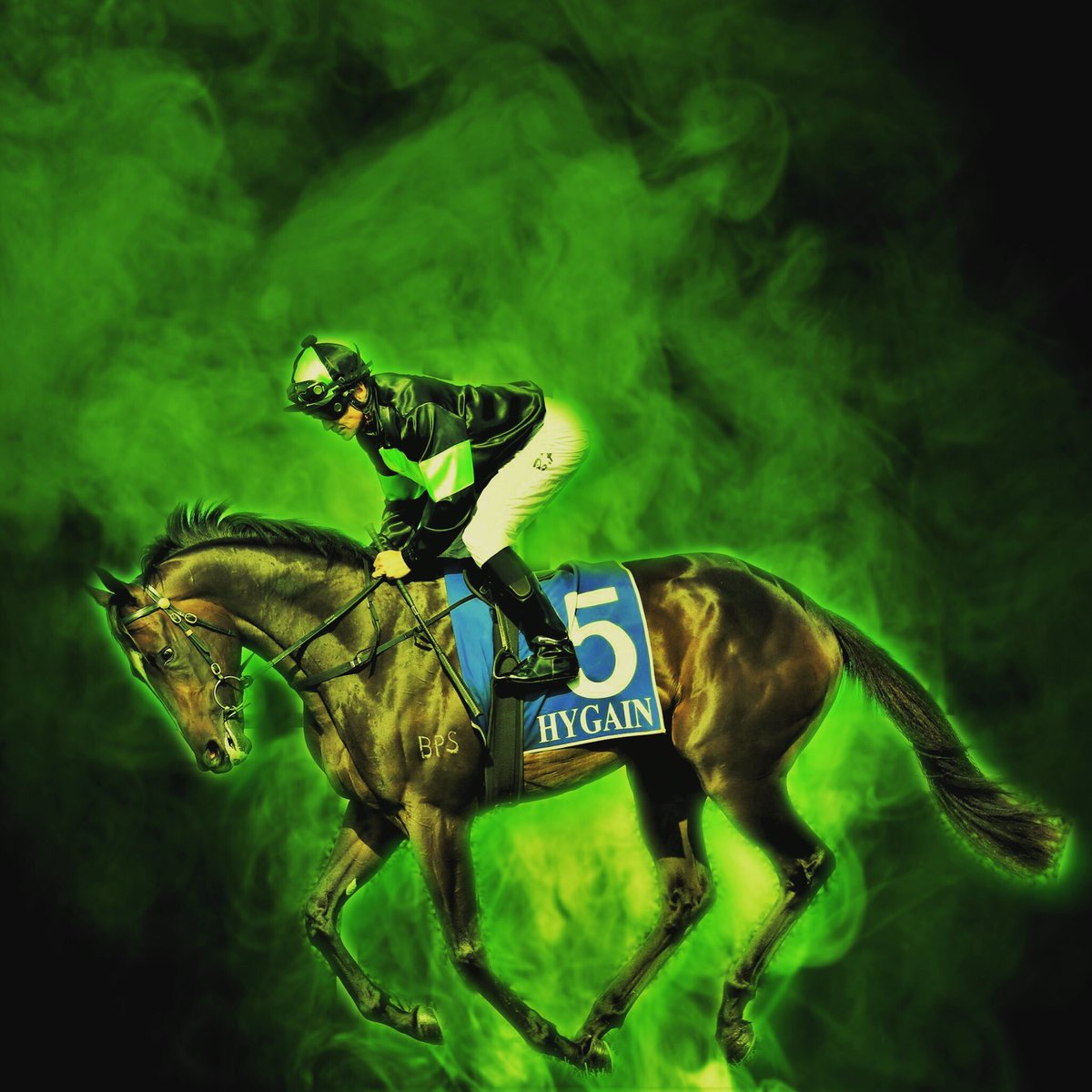 PR🟢VEN Thoroughbreds tweet media