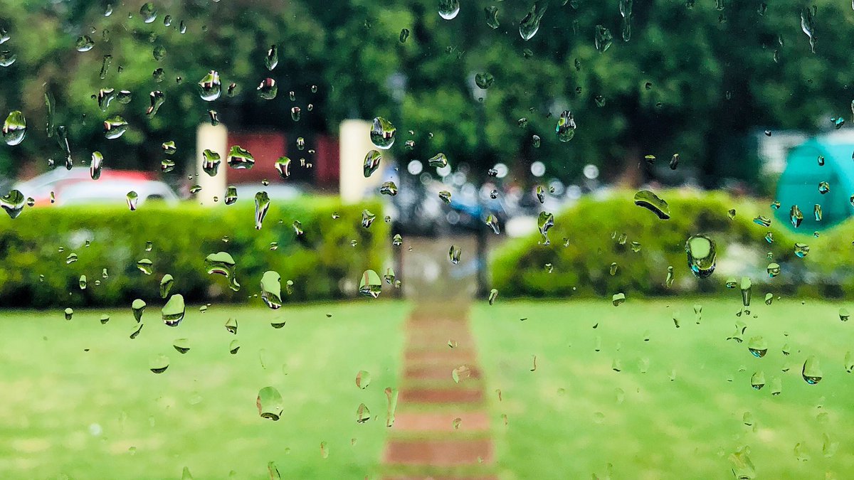 fnp_ind's tweet photo. It’s chai &amp; pakoda’o clock in #Delhi  we bet @ZomatoIN would you agree! 🌧 ☕️

#RT if you agree #Delhiites 😍 

#FridayFeeling https://t.co/LX9YKyDv4O