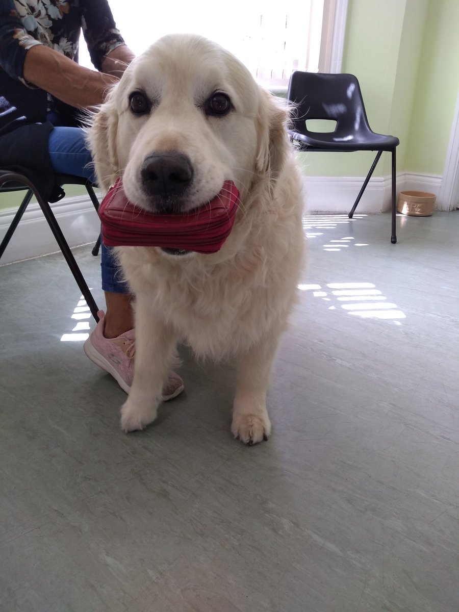 Finlay came to visit Tricia at Felixstowe recently. He made sure to bring his pocket money for treats too!