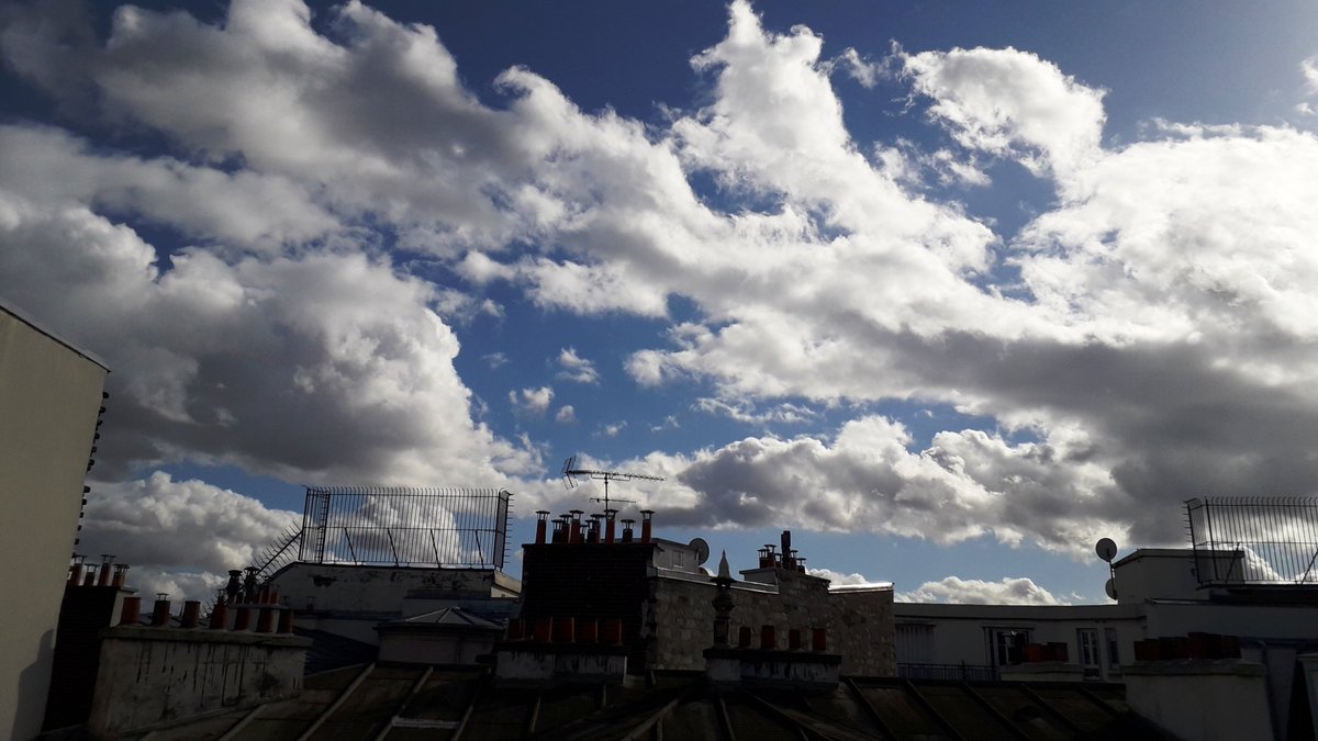 FrankSimonParis's tweet photo. Je passe ma tête par la lucarne, un peu d'air, on respire ce matin! 
#Paris #meteo #canicule2019 #orages #circulation https://t.co/8AmjJJbDnc
