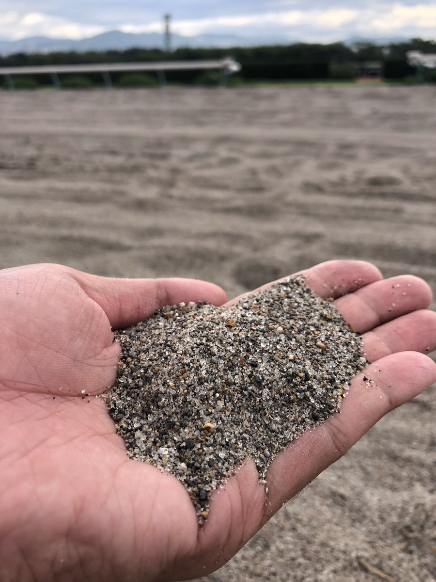 阪神競馬場 公式 ダートコースの砂は 先のツイートに質問がありましたが クッション砂は 現在のところ青森県六ヶ所村のものを使用しています 全10場とも 角がなく丸いもの 直径2mm以下 など 厳しい検査に合格したものが選ばれています