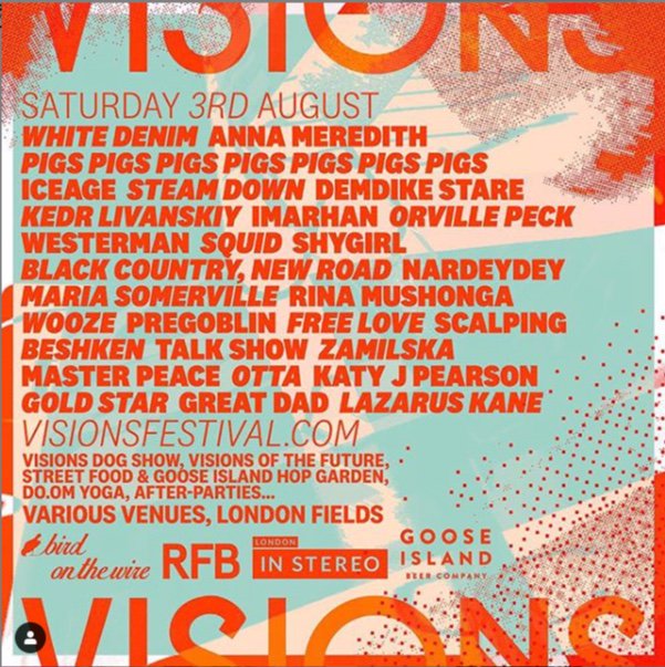 thedictionary's tweet image. #visionsfestival will be happening just a short walk away from the hostel next week in #londonfields! We are super excited about the planned line-up! 😍😍😍