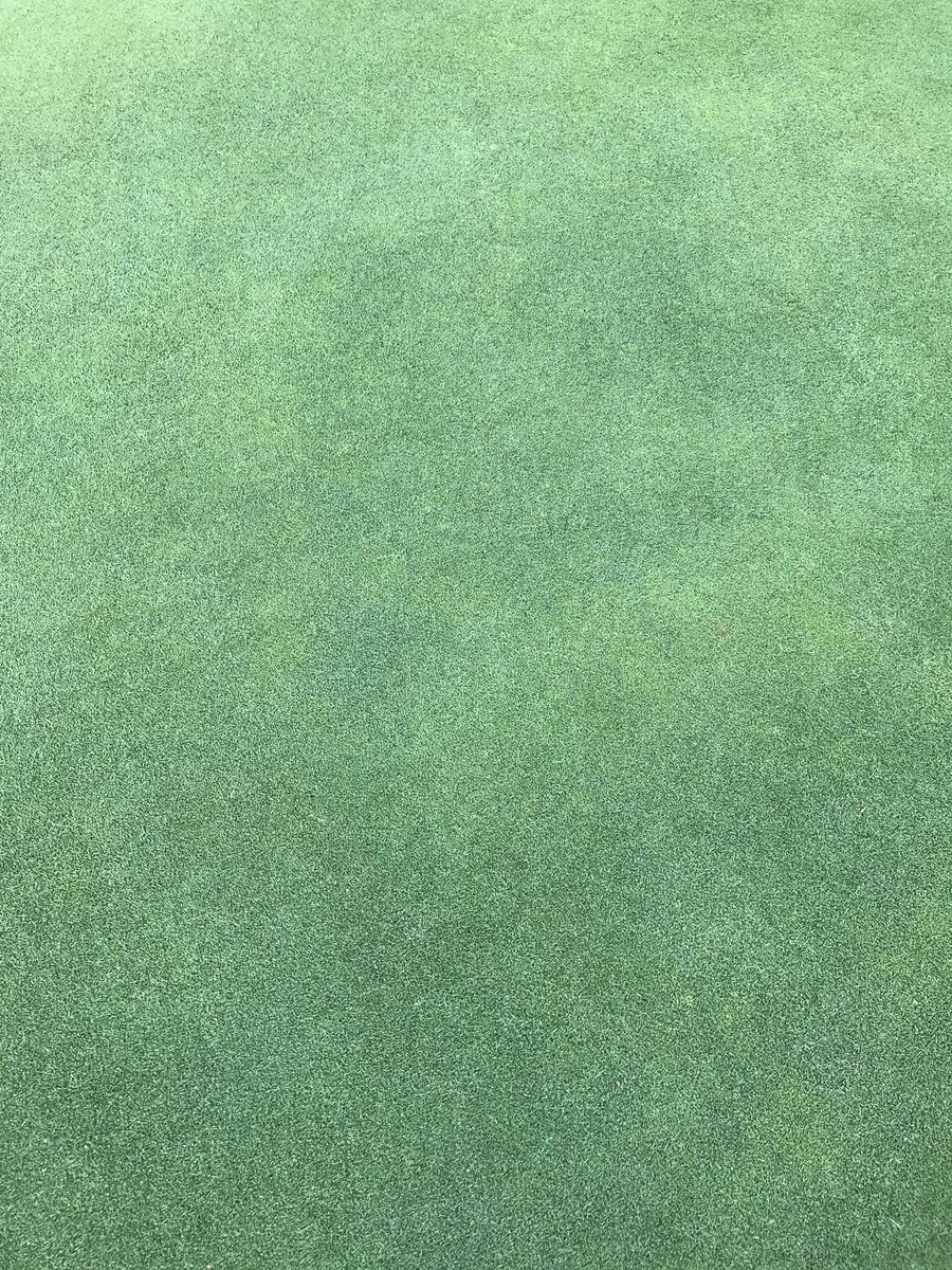 SGreenhough's tweet photo. Good to catch up with @GrassGuru247 yesterday greens and course looking fantastic @poultonpgc credit to you ⛳️⛳️👍 https://t.co/FdNJMWaB49