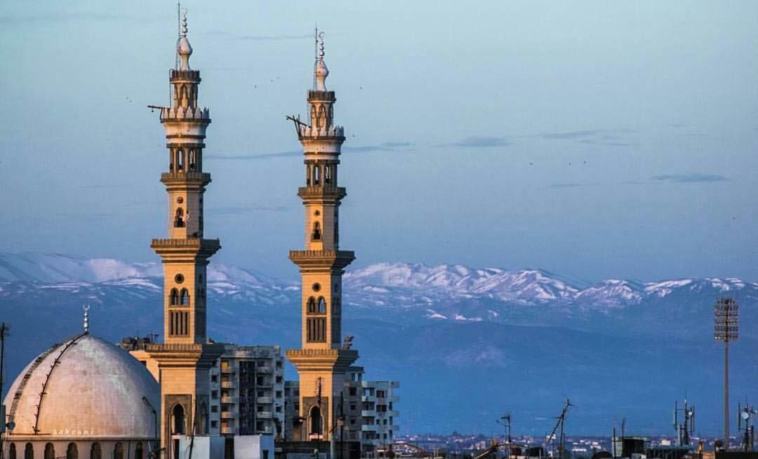 SY_Adab's tweet image. يا حِمصُ يا أمَّ الحجارِ السُودِ
أنسيمُ وَعرِك ما سَمِعتُ مهَينما
أم رُوحُ ديكِ الجِنِّ من خَلفِ الحِمى
أم شيخُنا الجُنديُّ حَنَّ ورَنَّما
مُتَغَزِّلاً بِمَعاطِفٍ وقُدودِ
- نسيب عريضة