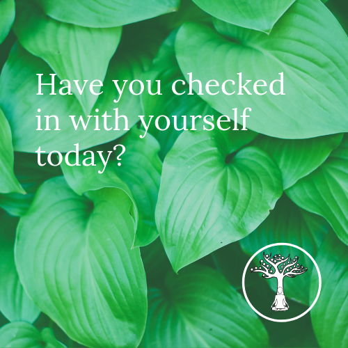 Why don't you take a minute now to see how you are?  It's important that you regularly check in with how you are feeling and I have found meditation really helpful for this.