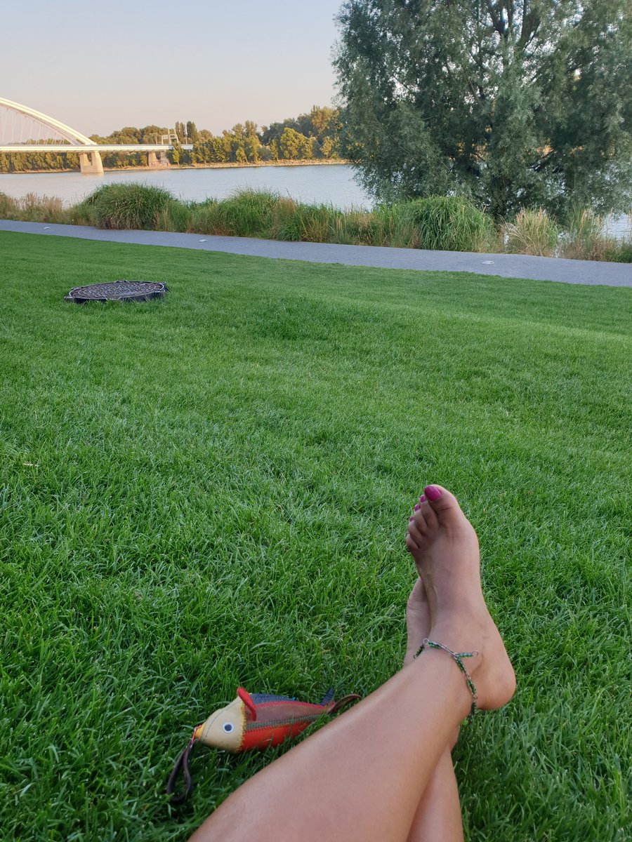 56. Chillen with my pet. Her name is Samak. People-watching is something I love. And if we're two, even better! Sadly for me, I'm alone, since Samak is taking a nap. Who wouldn't, when they feel safe and loved. (I forgot to number tweet 55)