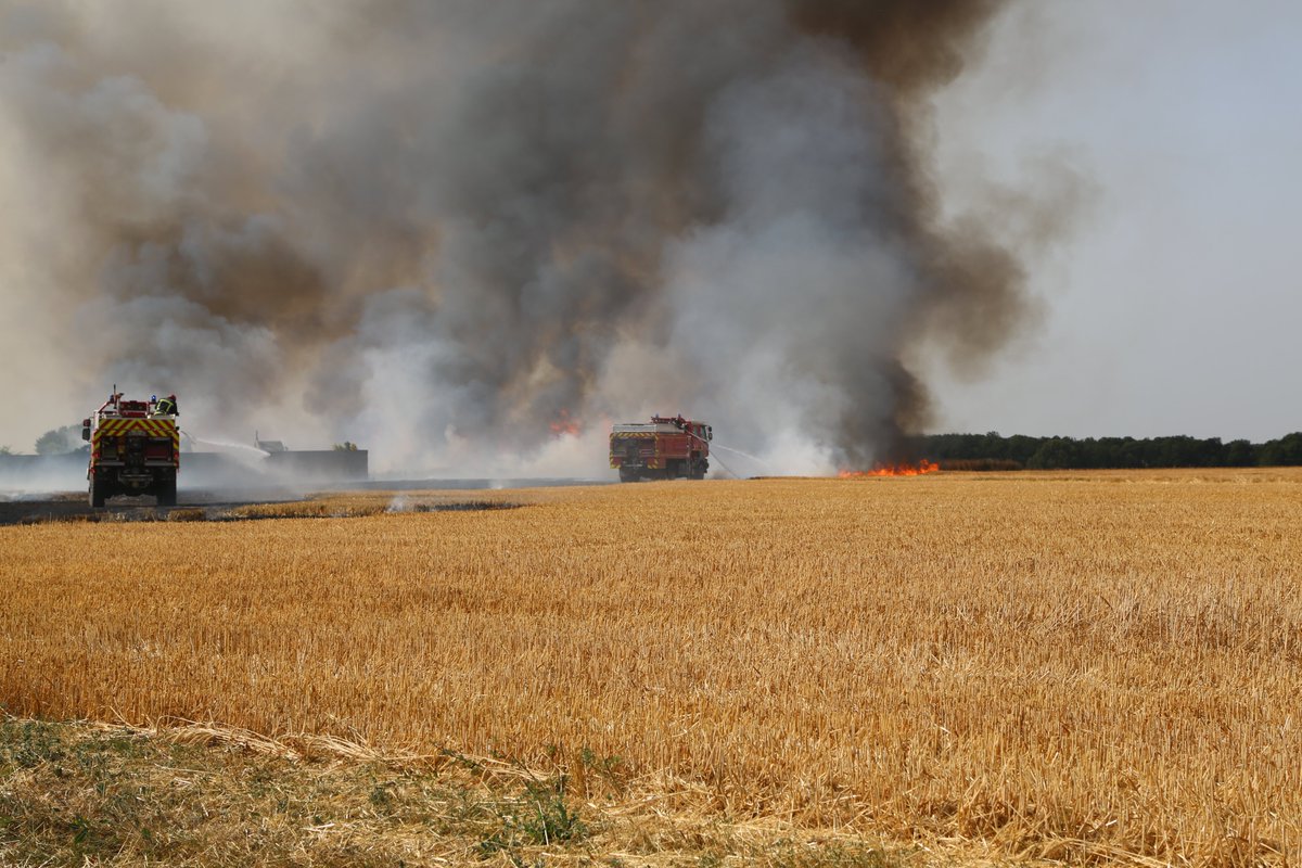sdis91's tweet photo. ‼ Le Sdis de l'Essonne remercie l'ensemble de ses personnels (sapeurs-pompiers comme personnels administratifs techniques et spécialisés) pour leur engagement et leur implication sur ces derniers jours, notamment hier où le pic de l'activité op's a été atteint. #canicule2019 https://t.co/le4n7xnZao