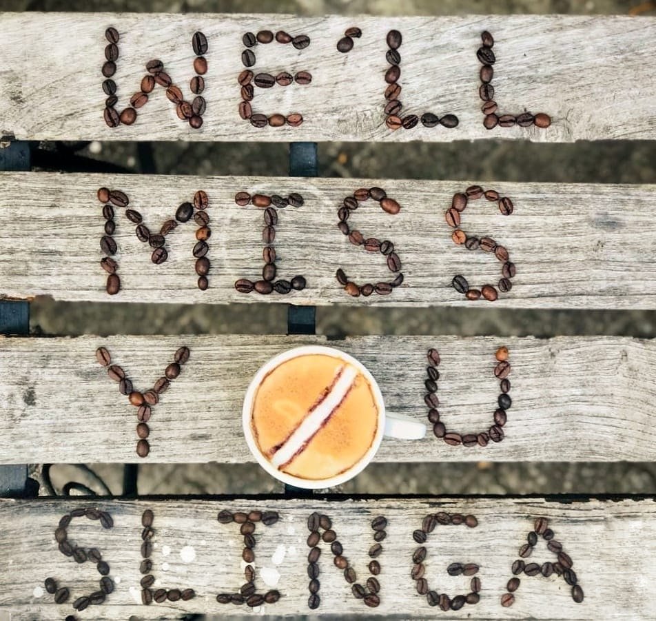 For now we say good bye to our king of yorkers, <a href="/Lasith99Malinga/">Lasith Malinga</a>.
Good bye until next T20!
#ICC #iccworldcup #slcricket #Mali #slinga