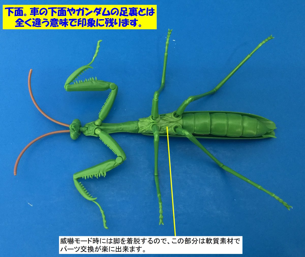 おもちゃ屋本舗 米沢店 در توییتر 良く動くカマキリ 下から見たカマキリ ラブリーなカマキリをご堪能下さい