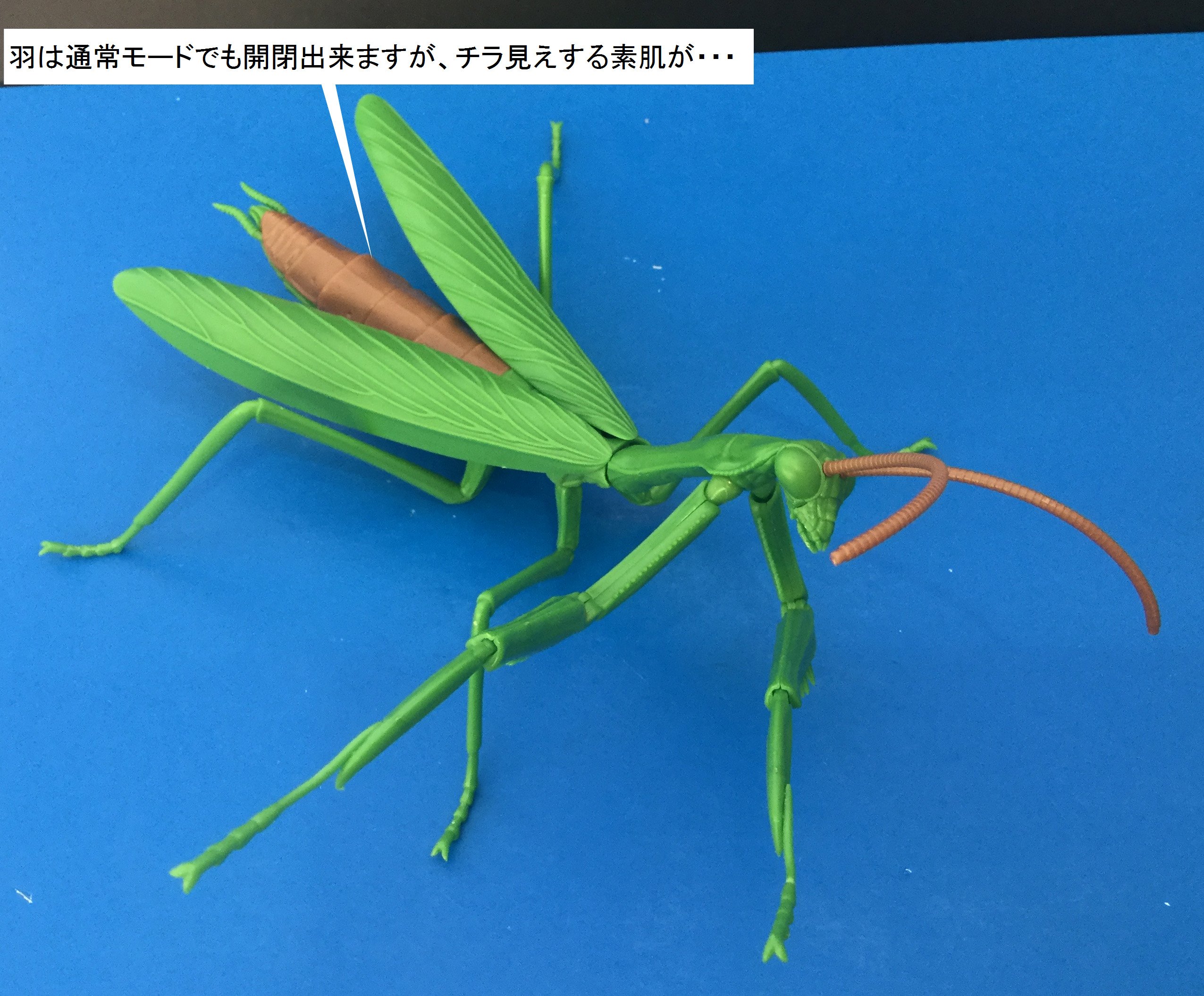 おもちゃ屋本舗 米沢店 これでカマキリ画像は最後です 昆虫のお約束は対決と言う事で T Co Pqqypk8kyv Twitter