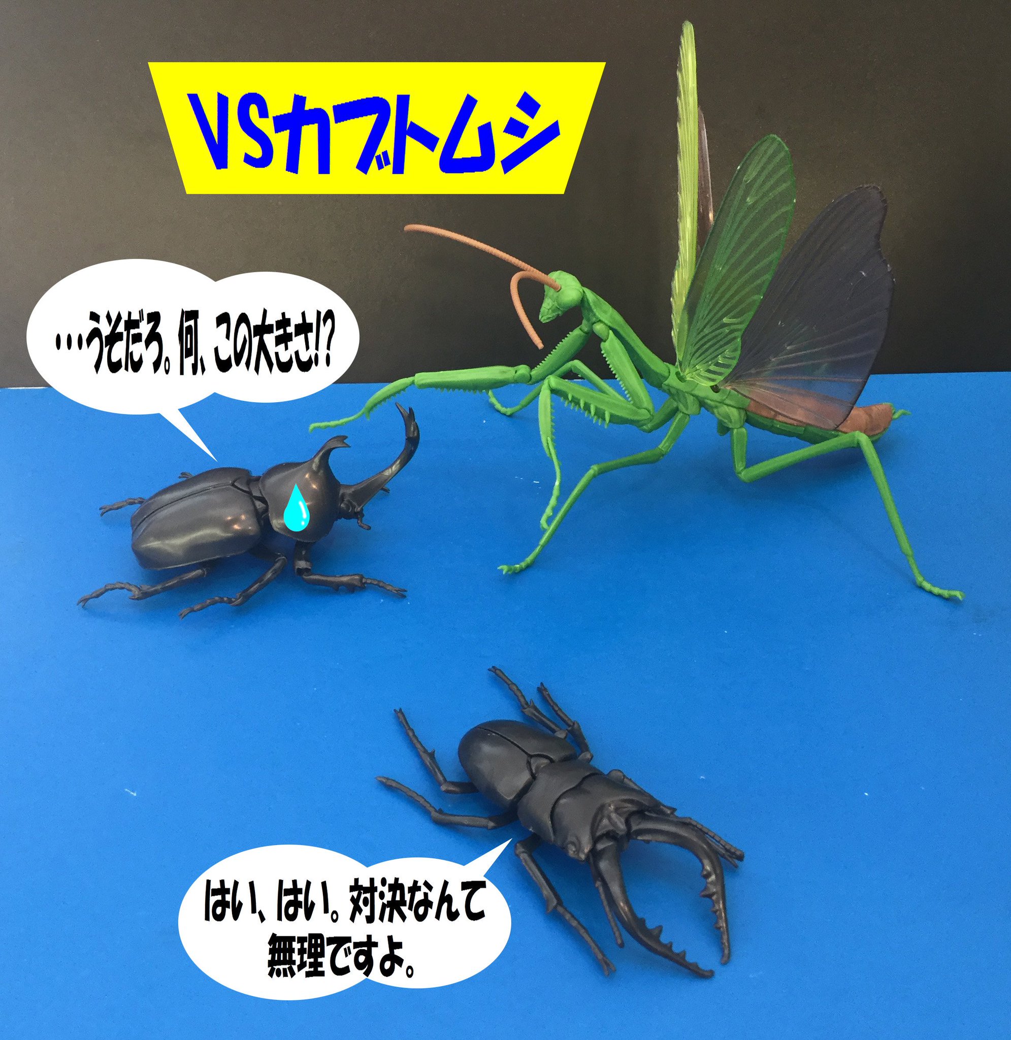 おもちゃ屋本舗 米沢店 これでカマキリ画像は最後です 昆虫のお約束は対決と言う事で おもちゃ屋本舗 米沢店 これでカマキリ画像は最後です 昆虫のお約束は対決と言う事で