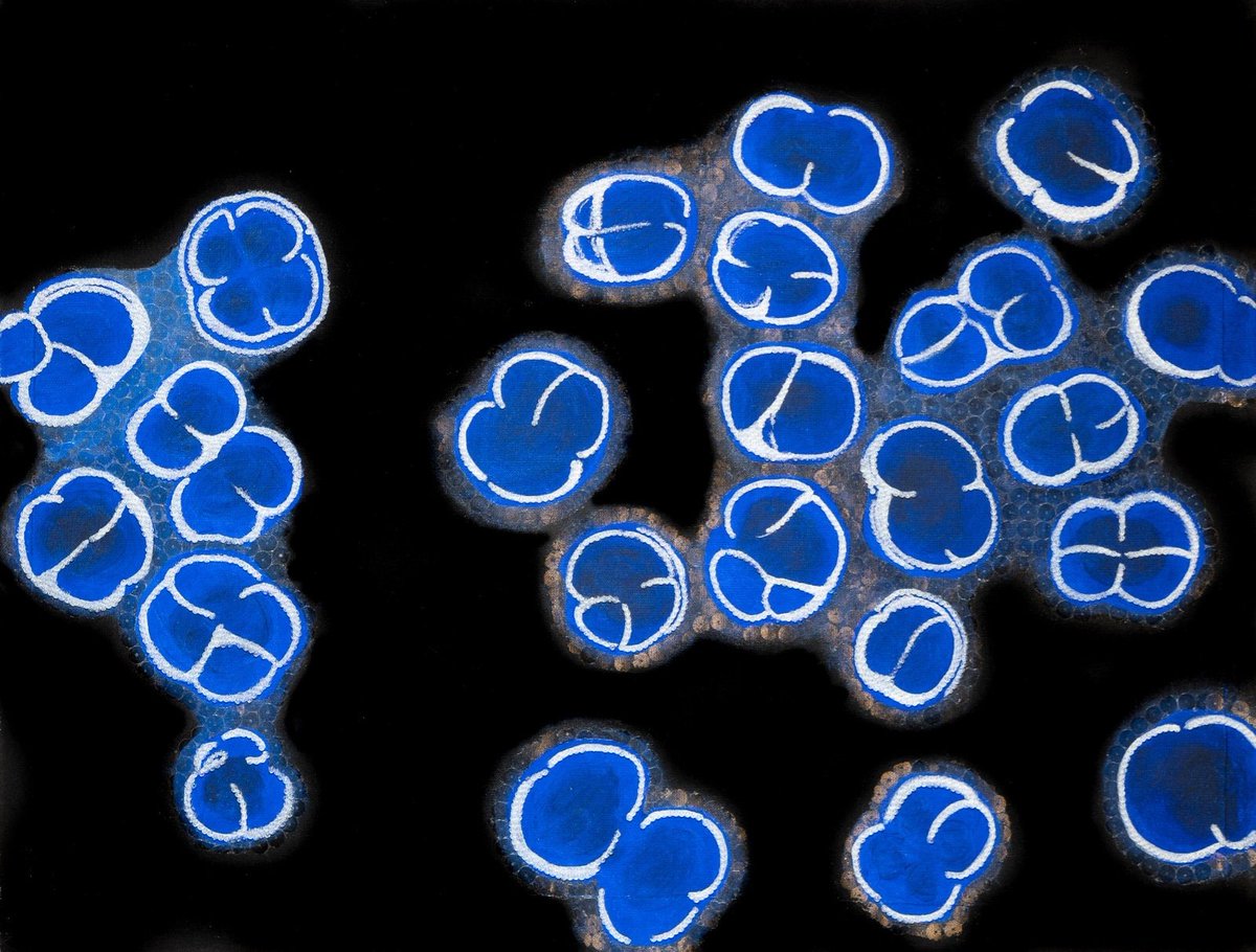 FTempia's tweet photo. In the #GenomicArt project the staff of Labs of Genomics and Art Therapy of Fondazione Tempia reproduced images from the covers of @MyBioTechniques on canvas. Any offer for our gadgets will support our cancer research projects.
Follow #GenomicArt on Facebook and Instagram too https://t.co/PkptcDSlvD