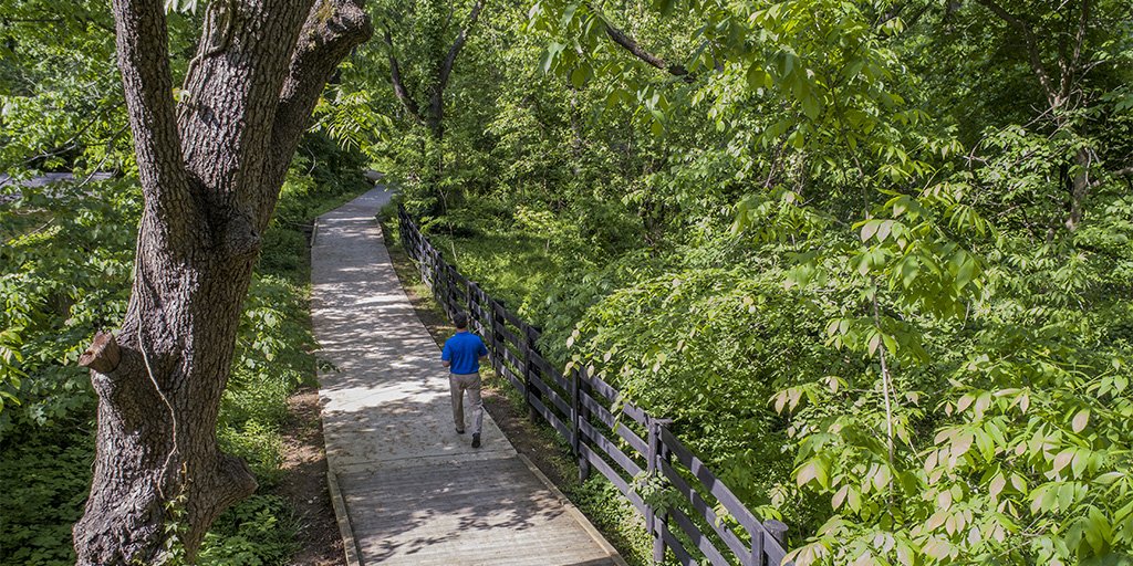 We can't think of a better place to catch some shade -- and get your steps -- than the <a href="/UKAgriculture/">University of Kentucky Martin-Gatton CAFE</a> Arboretum. But there are great pedestrian pathways all over campus. Do you have a favorite?