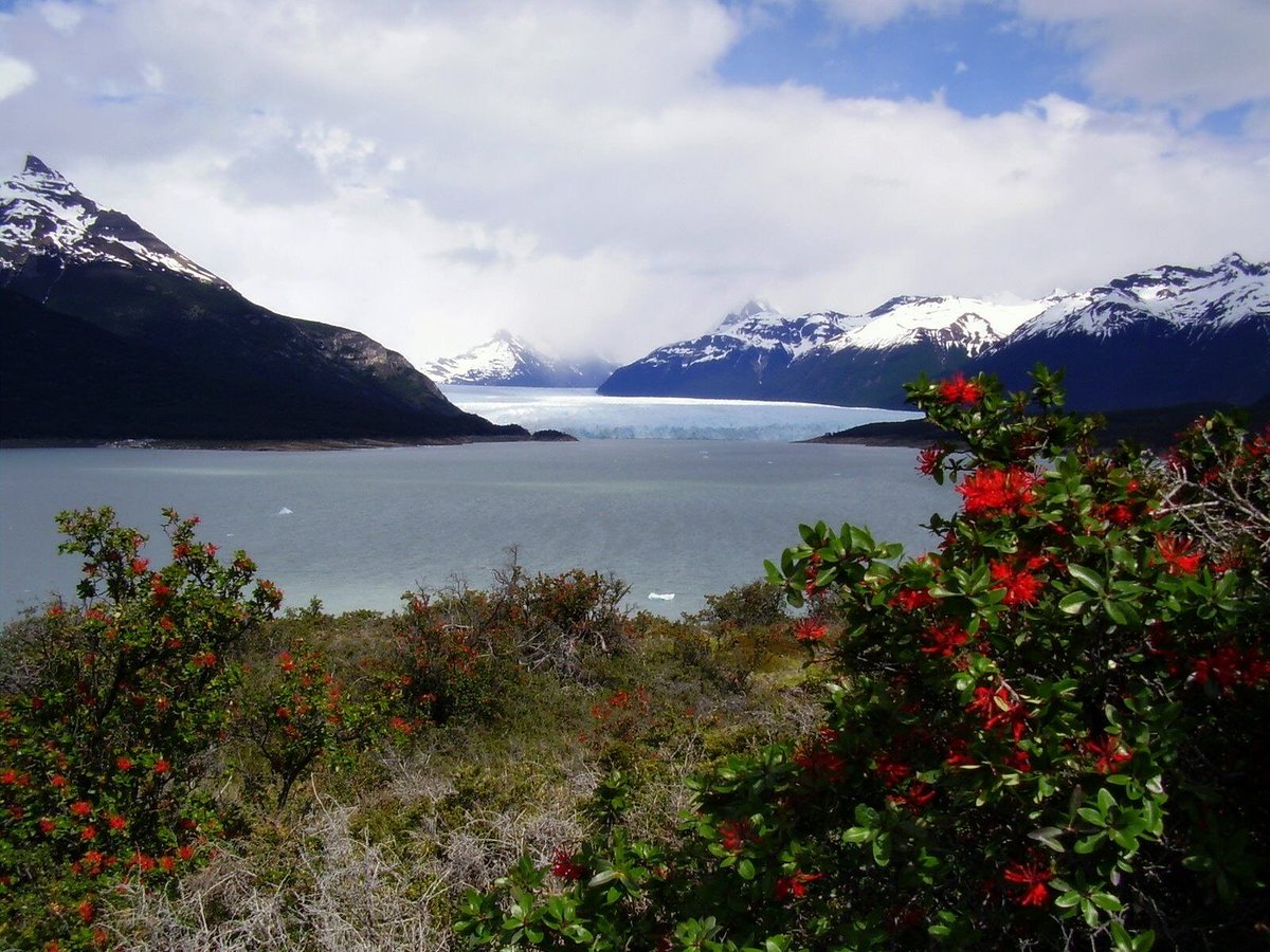 trogontours's tweet photo. Are you planning to visit any major touristic location in Argentina? We have many short tours for you to enjoy. Visit our website or email us to find more about it!

https://t.co/RV4Vtr2aLh

#landscapephotography #patagonia #naturephotography #travelphotography #photographytour https://t.co/9acL6wZrmC