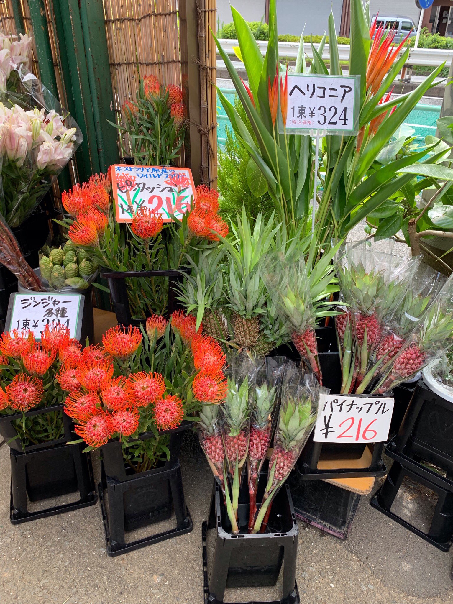 ワールドフラワー 本店 梶が谷店 突然ではありますが この暑さを吹きとばせ 梶が谷店限定サマーセール開催中です 一輪咲きのカーネーションなど多数の商品がお安くなっております その他 上品で涼し気な雰囲気のトルコキキョウや 華やかなお花の