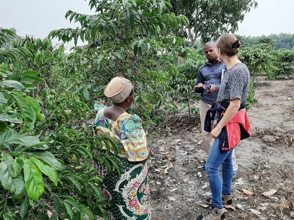 Agriterra's tweet photo. Kasaali Farmers Cooperative Society (KACFA)wants to increase the production&quality of its coffee in order to strengthen its market position. Aiming to achieve its goals KACFA participated in the Agriterra Sustainable services workshop https://t.co/viHfA0TZ8R #agriterratraining https://t.co/iRhgHC4Vhh