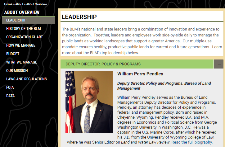 Blm Org Chart