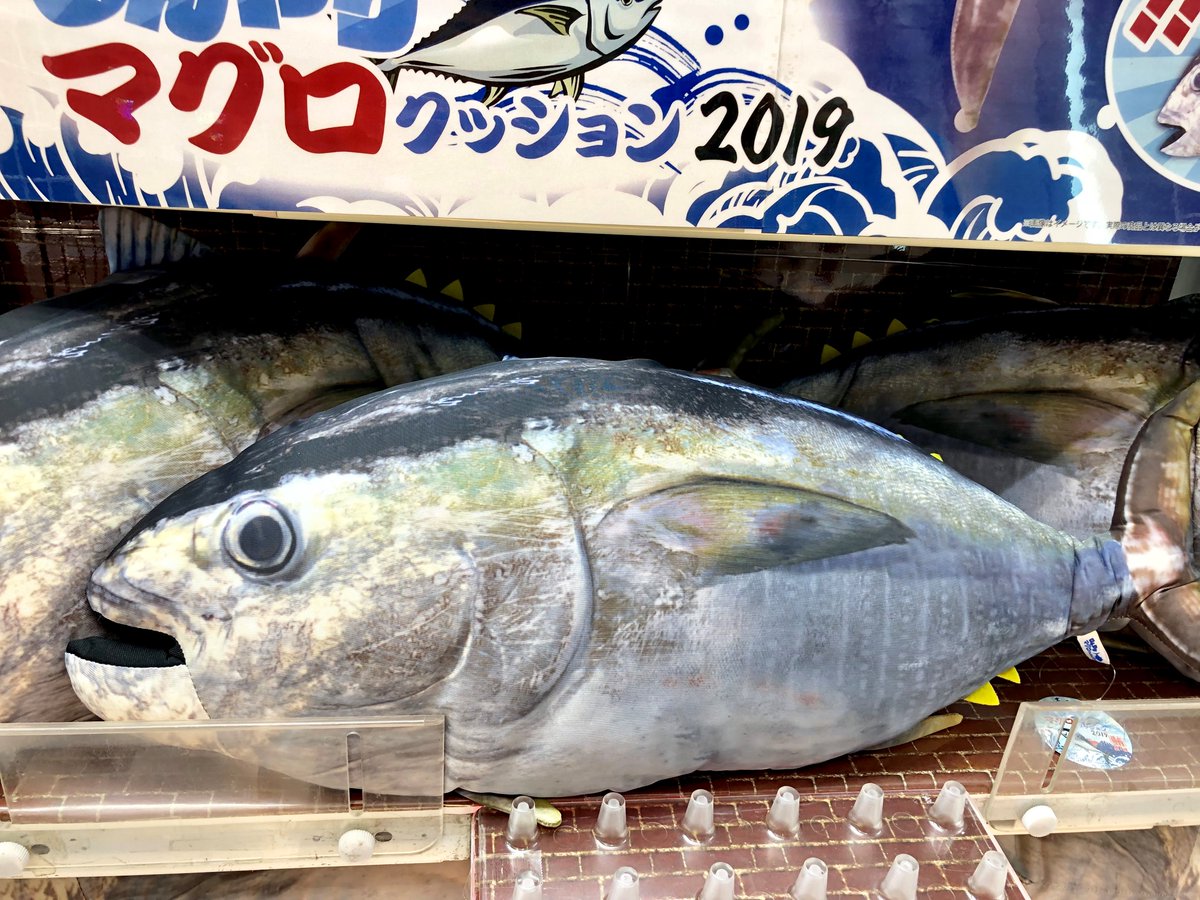 タイトーfステーションセントポルタ大分店 على تويتر おすすめ景品 冷えた刺身を キンキンに冷えたビールと一緒に食べたくなったこの時期 マグロ 冷感生地使用でひんやりっっ D 寝る時に快適なんではないんでしょうか それにしてもリアル