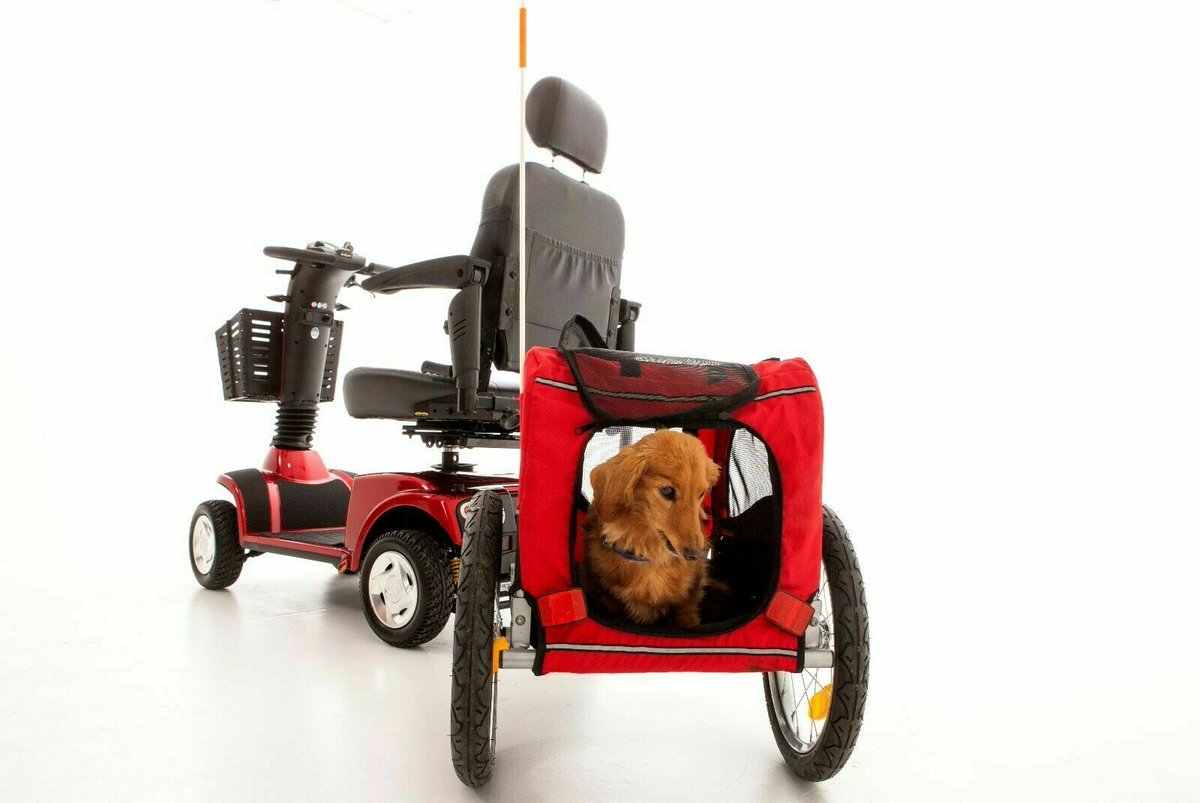 Got a special visitor in the office today :)
He is normally hiding in one of our pet trailers, guess today is basket day :) 
#doglovers #pettrailer #mobilityscooter #dogs #MonarchMobility