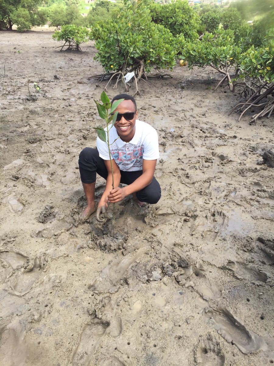 Mangroves store three times as much carbon as other tropical forests #WorldMangroveDay Let’s plant mangroves in the fight against #ClimateChange