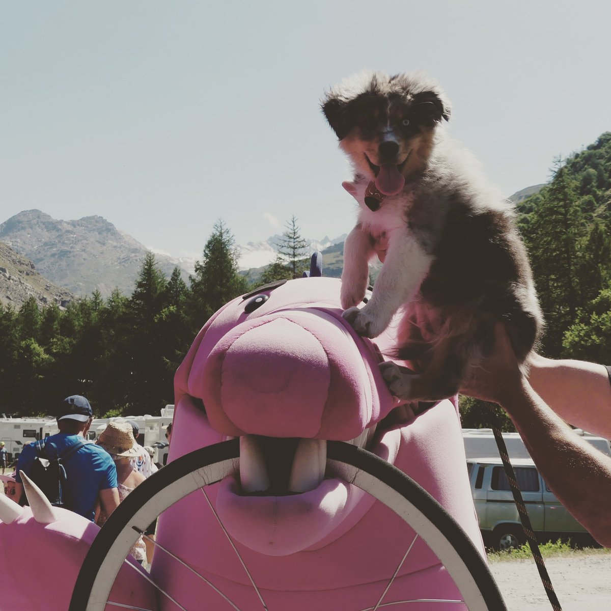 Our Guy Argyle the Crocodile (@argylethecroc) on Twitter photo Hey Little friend ππΆπ
<a href="/EFprocycling/">EF Pro Cycling</a>
#TDF2019 #ourguyarguyle #exploretheworld Hey Little friend ππΆπ
<a href="/EFprocycling/">EF Pro Cycling</a>
#TDF2019 #ourguyarguyle #exploretheworld