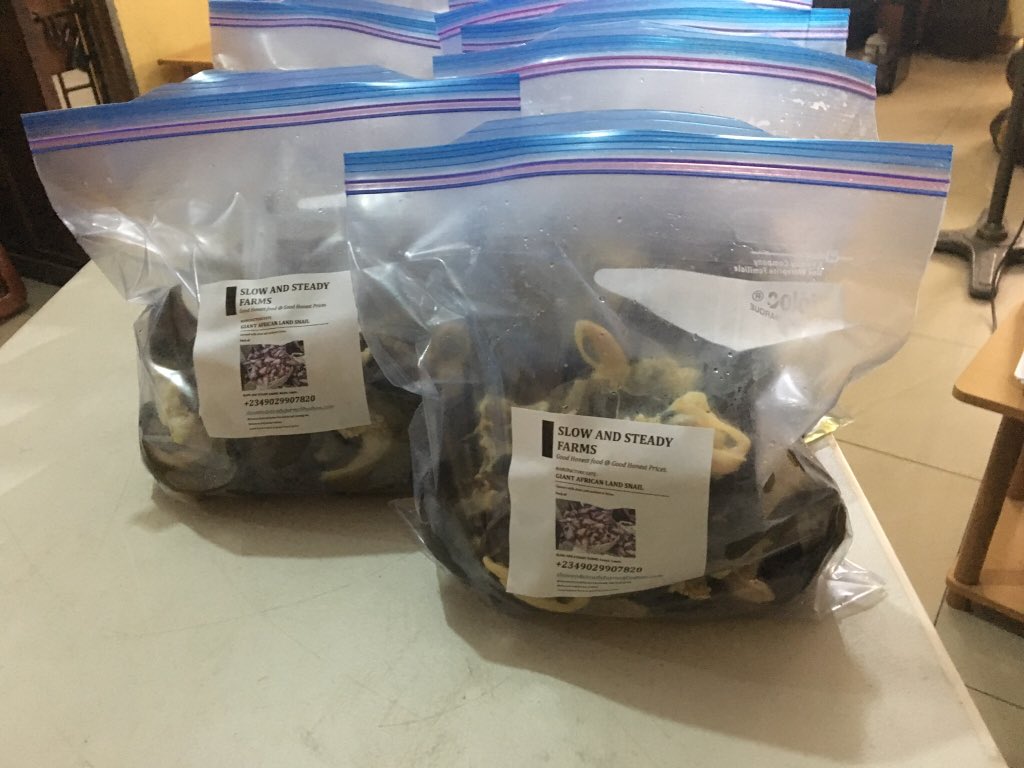 slowsteadyfarms's tweet photo. SNAILS For SALE. Cleaned and bagged.
All you need to do is call, and they'll be delivered within 48 hours. Free delivery. 
09029907820. Lagos.
@slowandsteadyfarms.

Like our page, share and get your friends to do the same. Thank you very much. https://t.co/MlCVsPK9iw