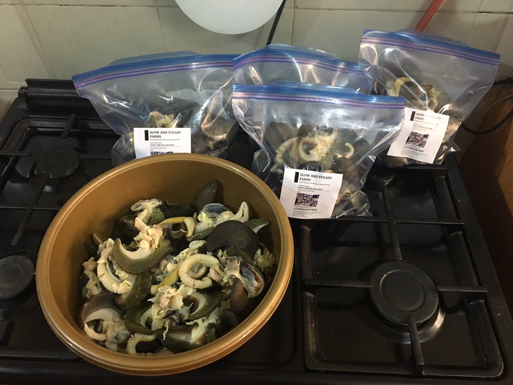 slowsteadyfarms's tweet photo. SNAILS For SALE. Cleaned and bagged.
All you need to do is call, and they'll be delivered within 48 hours. Free delivery. 
09029907820. Lagos.
@slowandsteadyfarms.

Like our page, share and get your friends to do the same. Thank you very much. https://t.co/MlCVsPK9iw