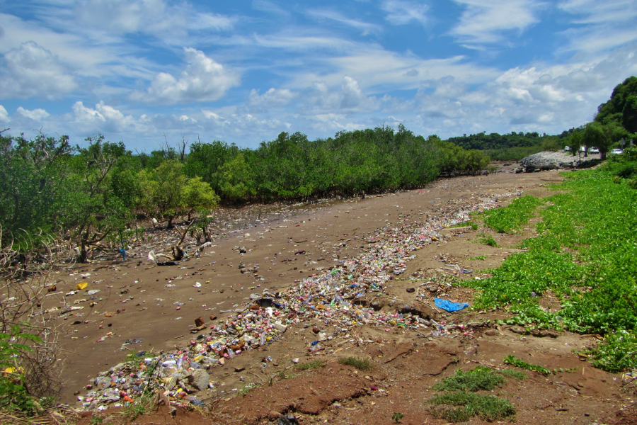 Eunomia_RandC's tweet photo. We're excited to announce that we have been appointed by @wwfafrica to develop a plan for combatting #plasticpollution from coastal African nations. Find out more about the goals of the project here: https://t.co/nQQjeaQyrC @wwf_uk https://t.co/kC8tuhX26k