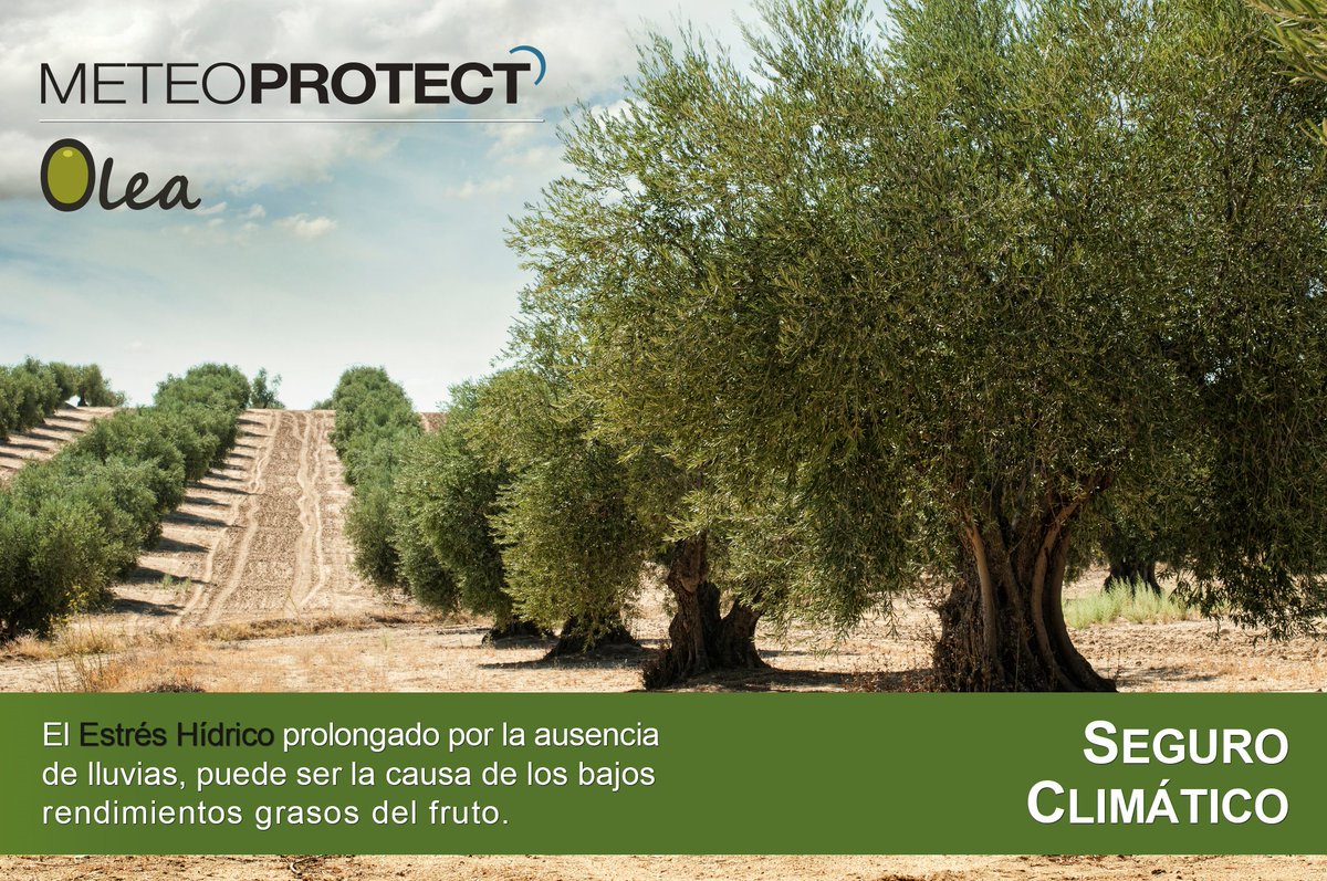 Meteo Protect tweet media