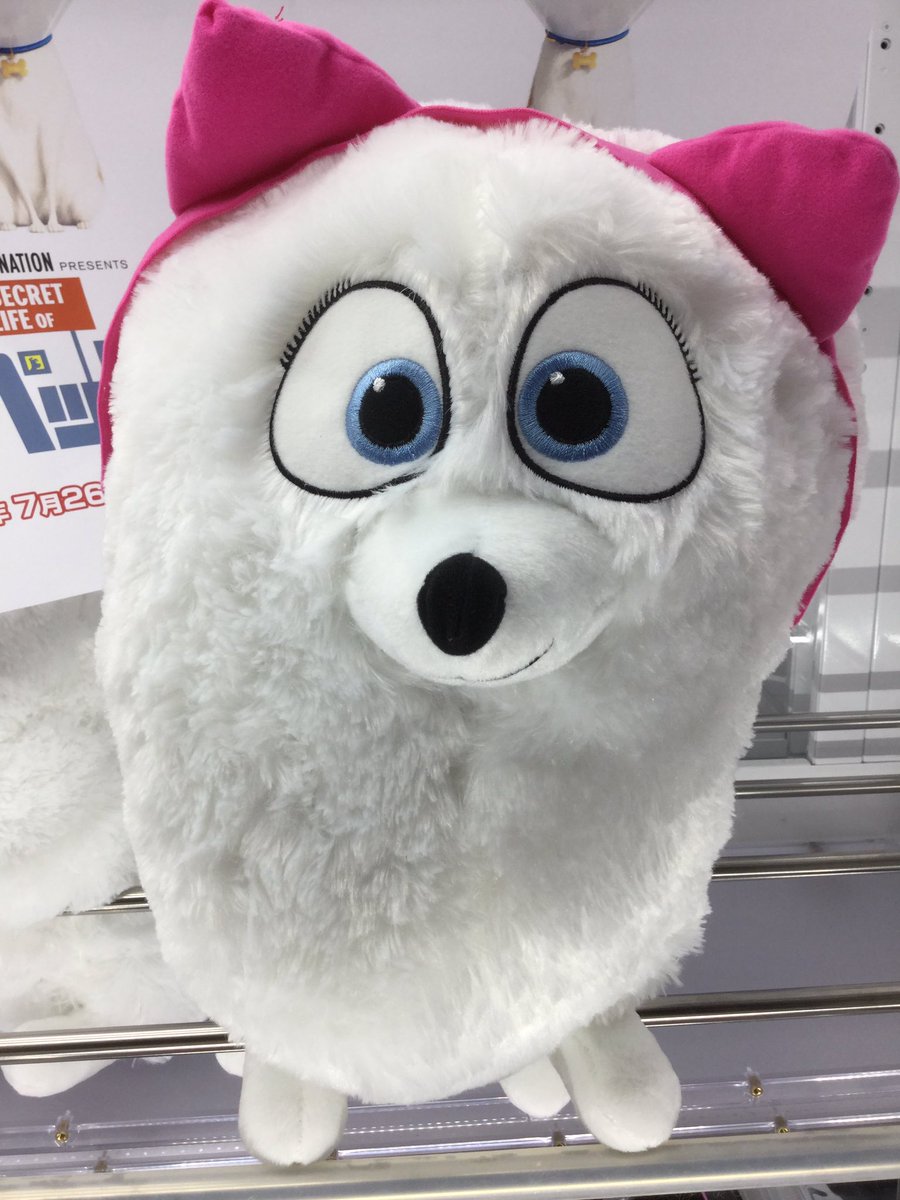 ট ইট র セガアリーナ蘇我 Pet2 ギジェット Gjにゃんにゃんぬいぐるみ Pet2 スノーボールヒーロー Pmめっちゃおっきいフェイスクッション ペット2 スノーボールヒーロー Gjぬいぐるみ Sega セガ蘇我 Pet2 ペット2 ট ইট র セガアリーナ蘇我 Pet2 ギジェット Gjにゃんにゃんぬいぐるみ Pet2 スノーボールヒーロー Pmめっちゃおっきいフェイスクッション ペット2 スノーボールヒーロー Gjぬいぐるみ Sega セガ蘇我 Pet2 ペット2