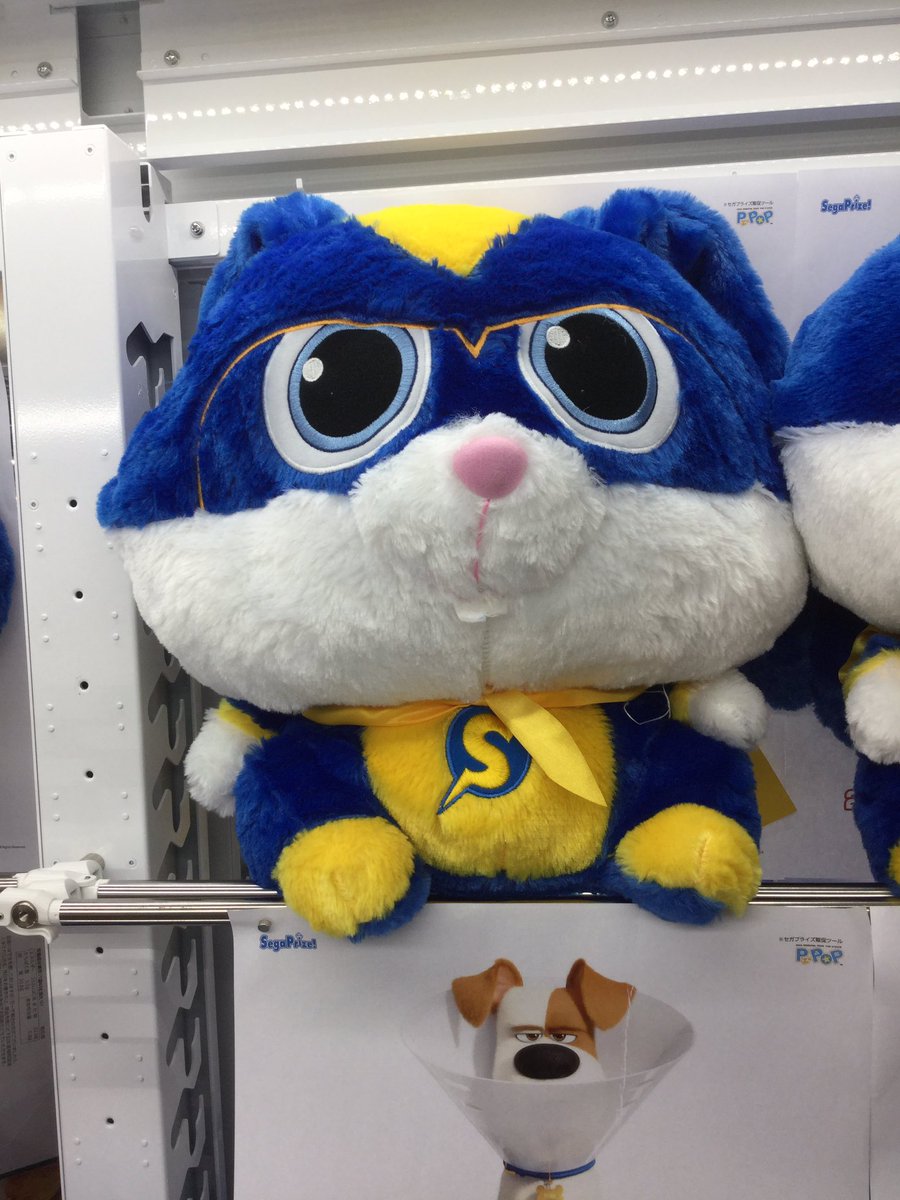 ট ইট র セガアリーナ蘇我 Pet2 ギジェット Gjにゃんにゃんぬいぐるみ Pet2 スノーボールヒーロー Pmめっちゃおっきいフェイスクッション ペット2 スノーボールヒーロー Gjぬいぐるみ Sega セガ蘇我 Pet2 ペット2 ট ইট র セガアリーナ蘇我 Pet2 ギジェット Gjにゃんにゃんぬいぐるみ Pet2 スノーボールヒーロー Pmめっちゃおっきいフェイスクッション ペット2 スノーボールヒーロー Gjぬいぐるみ Sega セガ蘇我 Pet2 ペット2